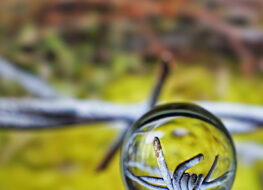 014 - die kugel zeigt gefahr